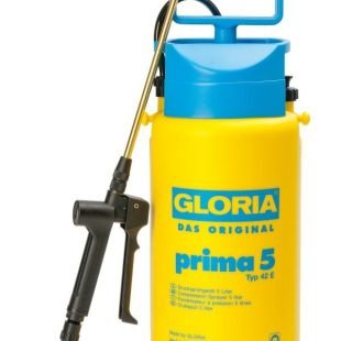 Gloria-prima-5